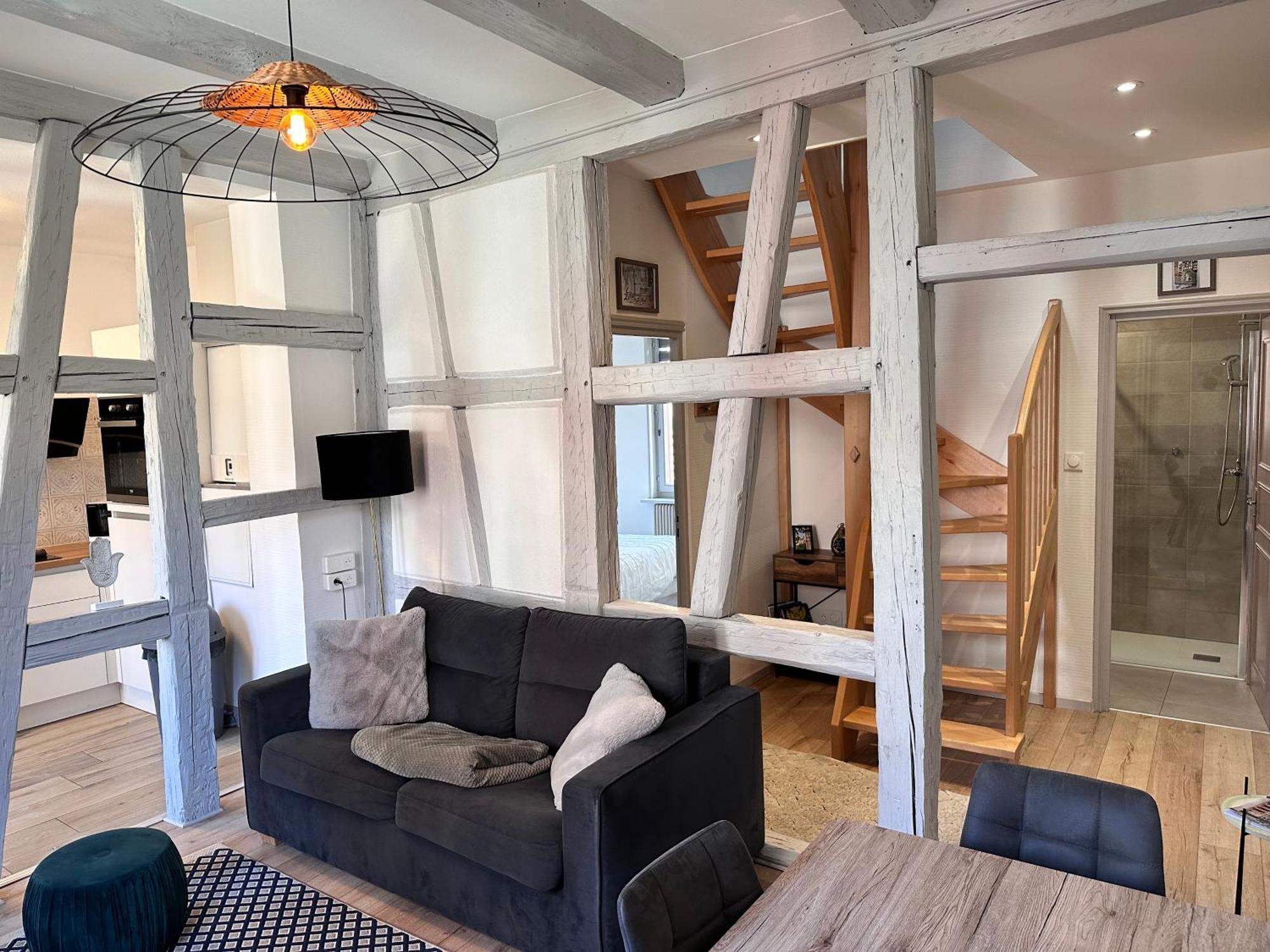Le Wickram Villa - Colmar, Colmar